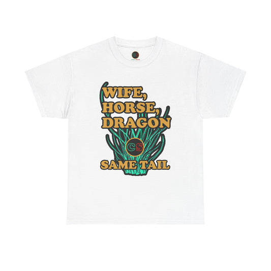 Same Tail Unisex Heavy Cotton Tee Cinema Siblings Avatar - Why it had NO Cultural Impact