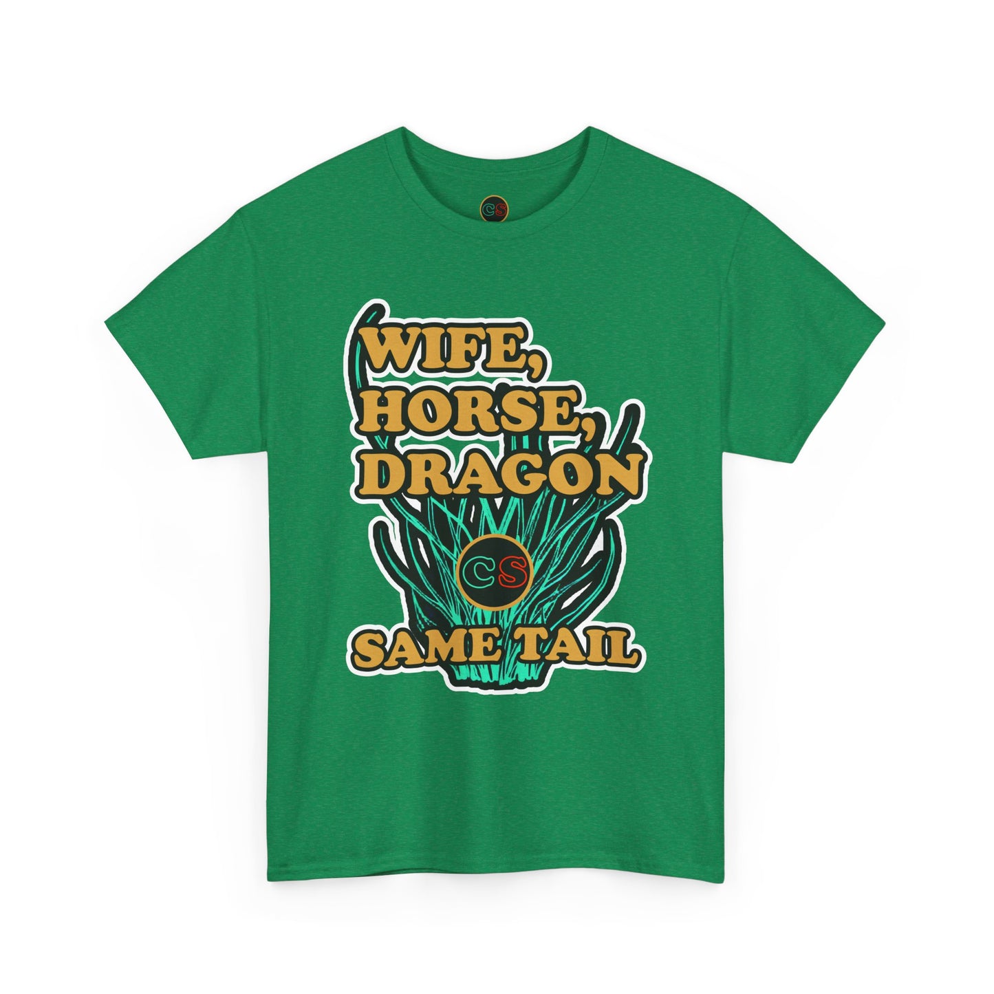 Same Tail Unisex Heavy Cotton Tee Cinema Siblings Avatar - Why it had NO Cultural Impact